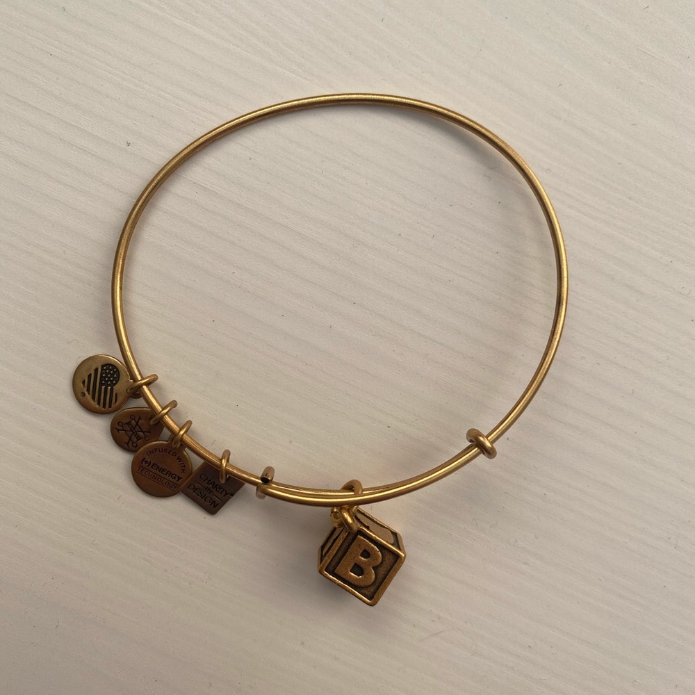 Alex and Ani baby block bracelet